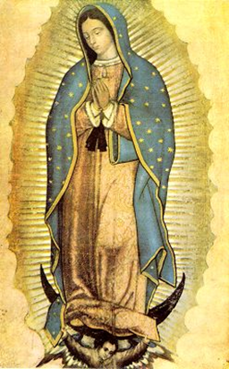 Our Lady of Guadalupe